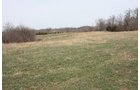 Property photo 9 - ABSOLUTE AUCTION - 298 Acres Offered in 4 Tracts